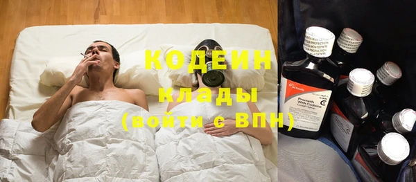 бошки Ельня