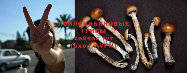 бошки Ельня