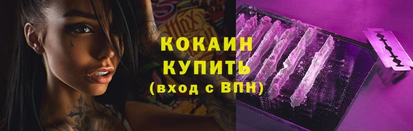 гидропоника Дмитровск