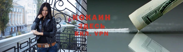 бошки Ельня