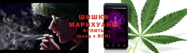 бошки Ельня