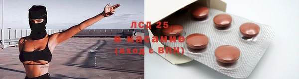 бошки Ельня
