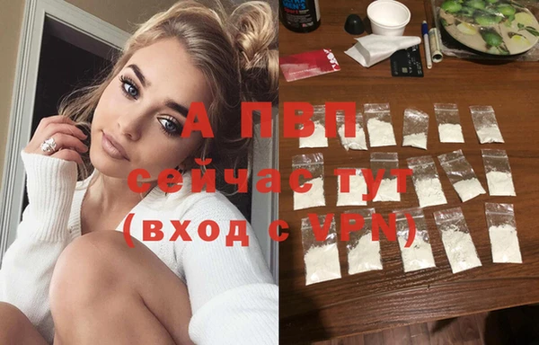 спайс Елизово