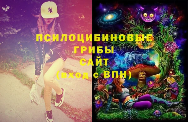 спайс Елизово