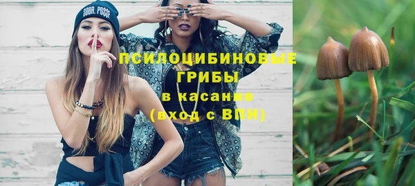 спайс Елизово