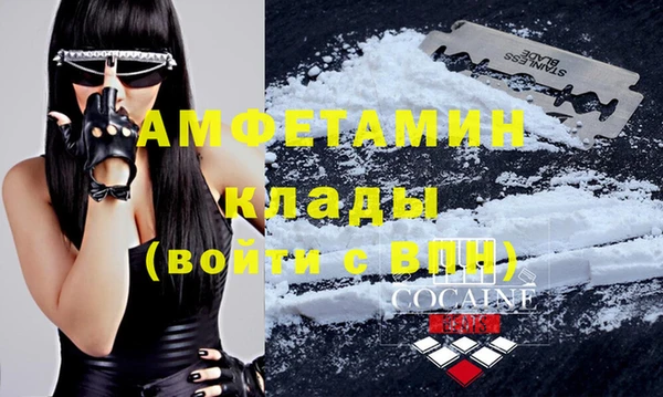 бошки Ельня
