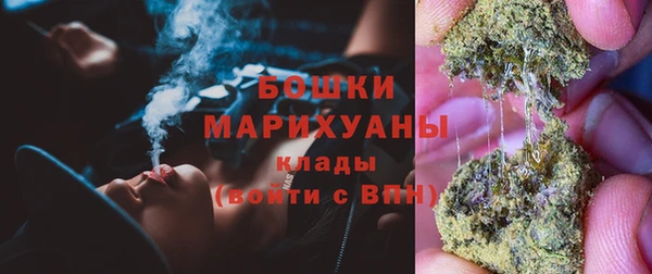 бошки Ельня