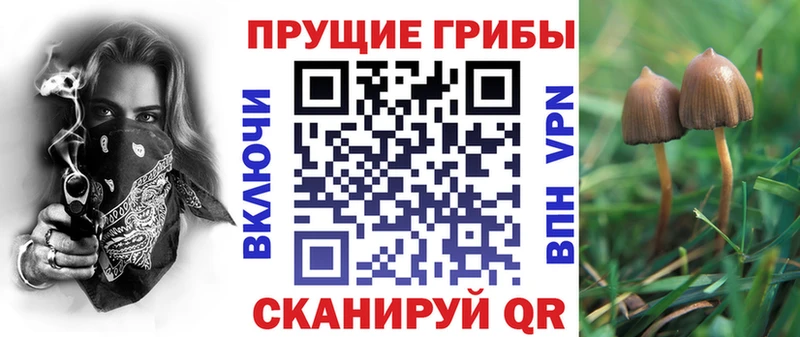 Псилоцибиновые грибы прущие грибы МЕГА вход Кохма дарнет шоп