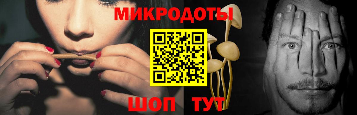 Кохма  Галлюциногенные грибы мухоморы  как найти наркотики  Вход с VPN 